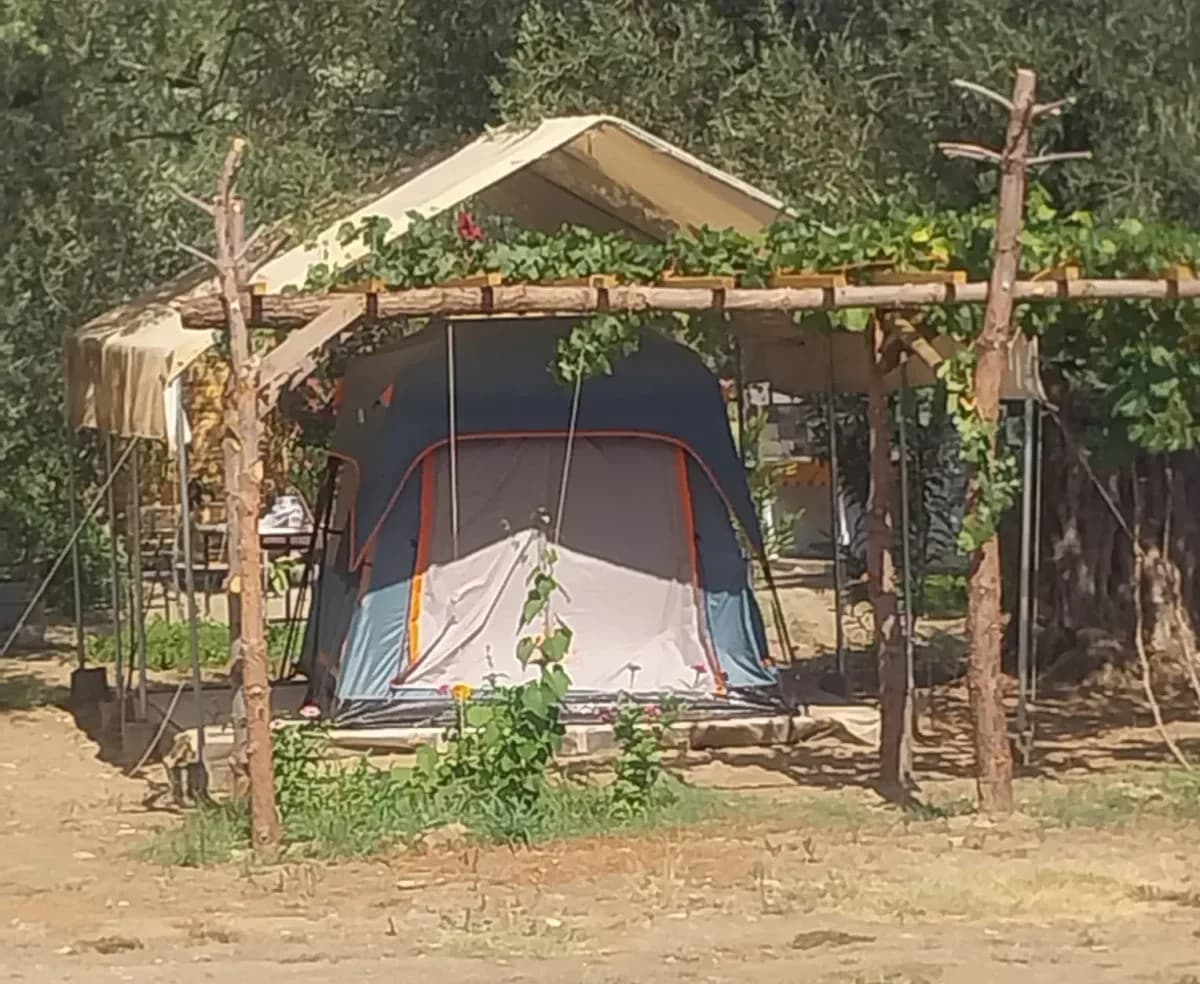 Aile Çadırı