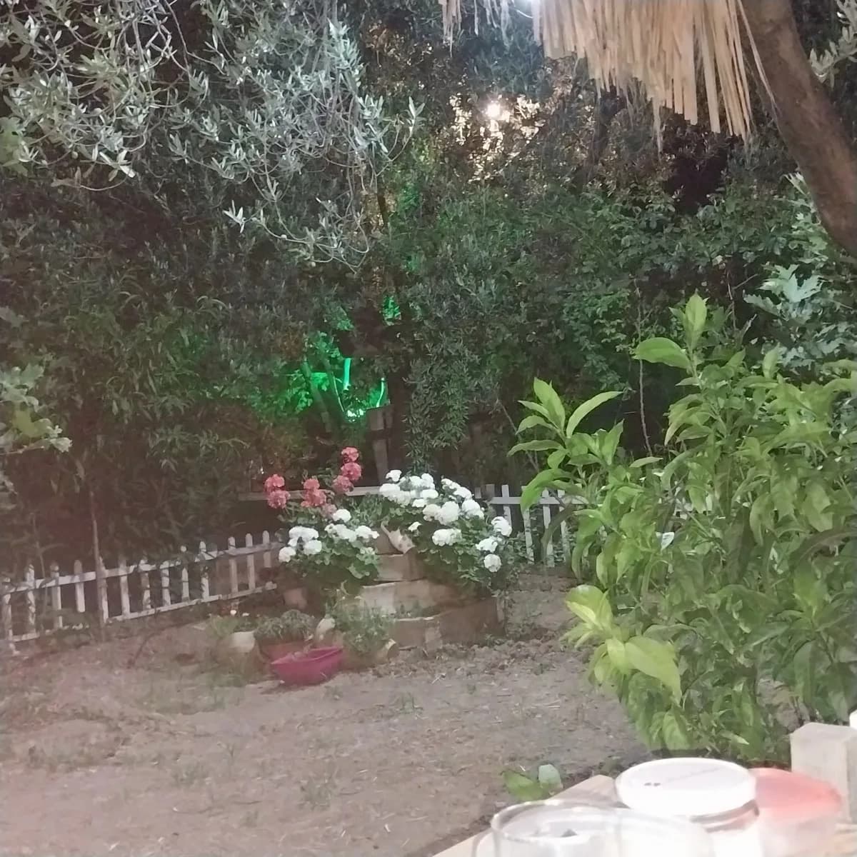 Beyaz çitli bahçe köşesi ve çiçekler