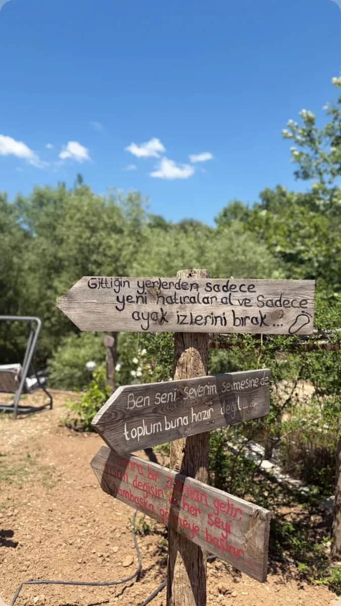 Alandaki ahşap yön tabelaları