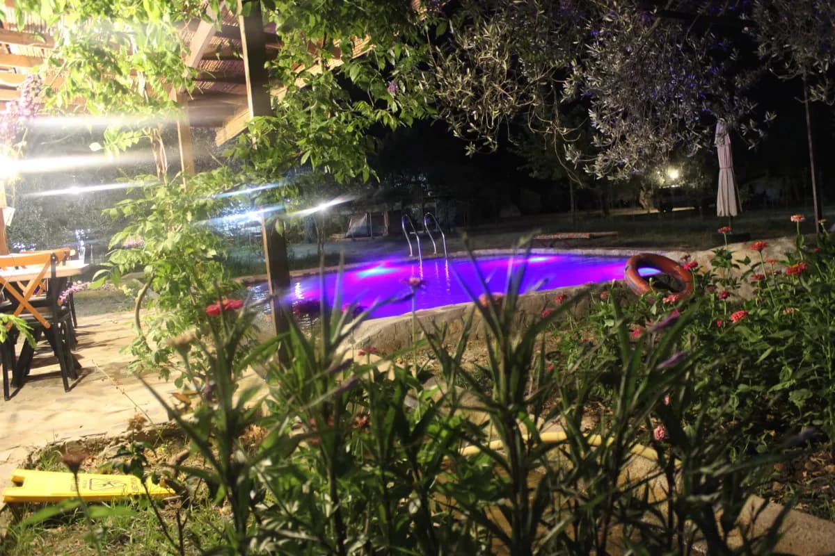 Gece mor ışıkla aydınlanan doğal havuz