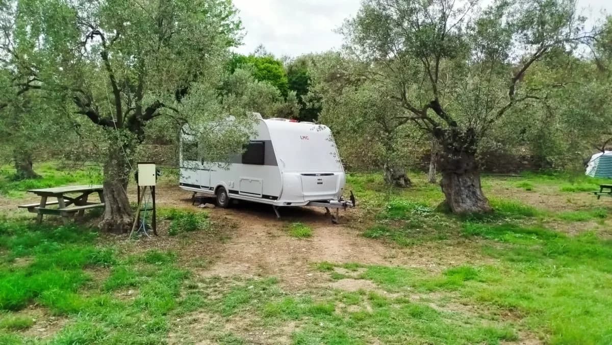 Zeytin ağaçlarının arasında park etmiş karavan
