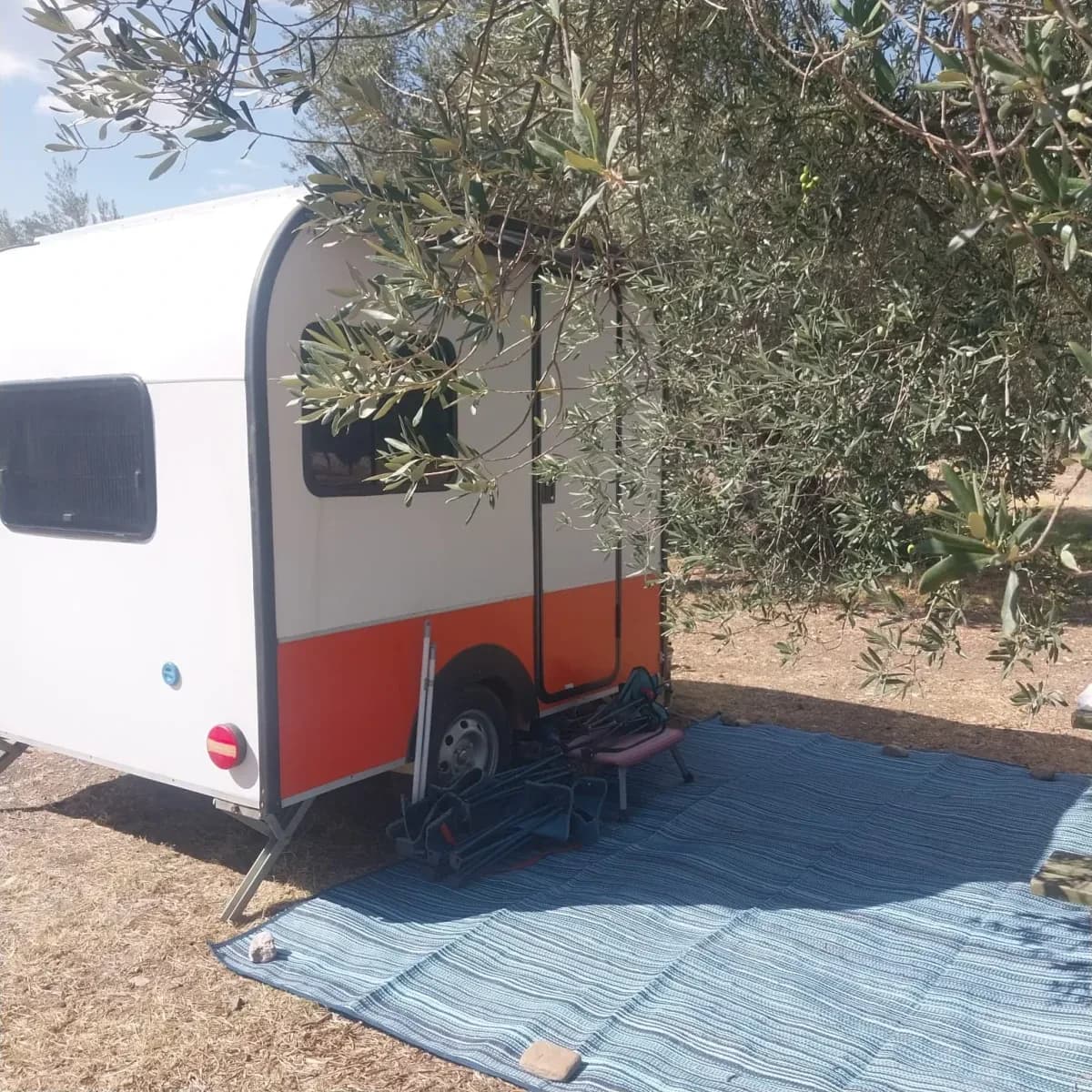 Ağaçların altında, kilim serilmiş küçük karavan