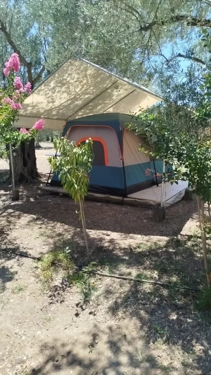 Gölgeliğin altındaki kurulu çadır
