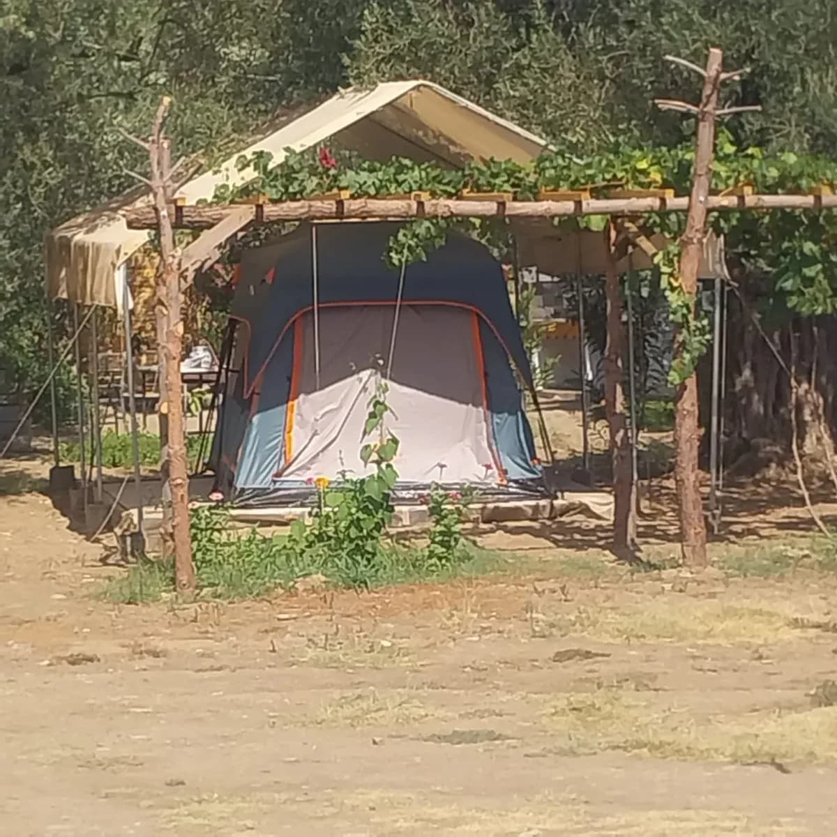 Çardağın altındaki çadıra önden bakış