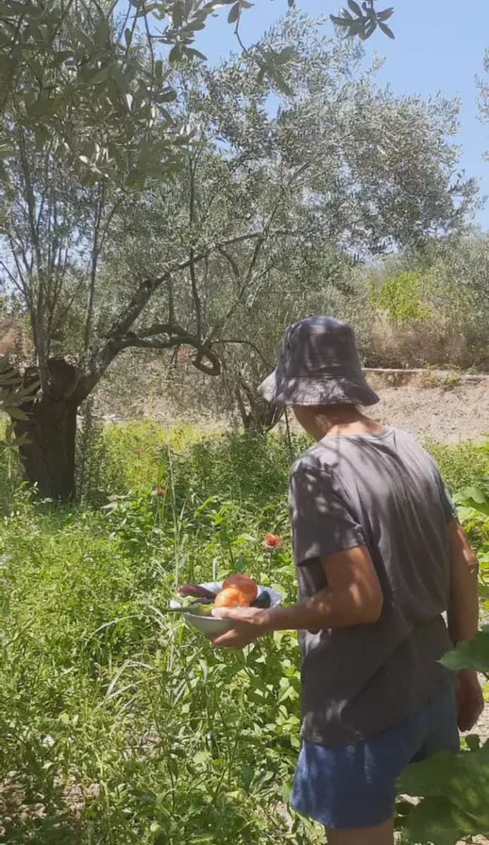 Bahçeden toplanmış sebzelerle dönerken